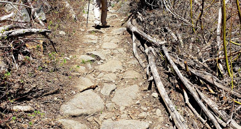 Waterfall midway on Hawley Grade Rd. Photo by Kris Jennings.