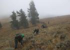 Volunteers working on trail on National Public Lands Day. Photo by USFS.