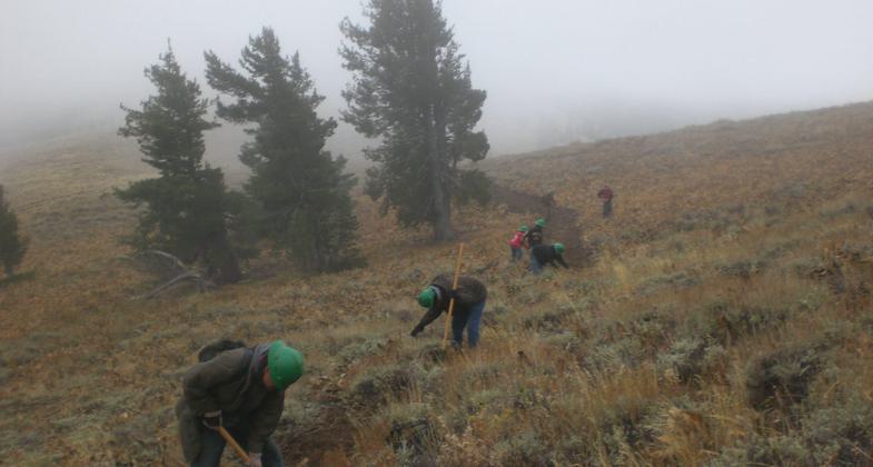 Volunteers working on trail on National Public Lands Day. Photo by USFS.