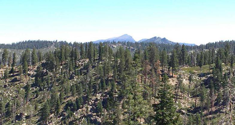 Scenic views. Photo by Troy Meadows, Sequoia NF.