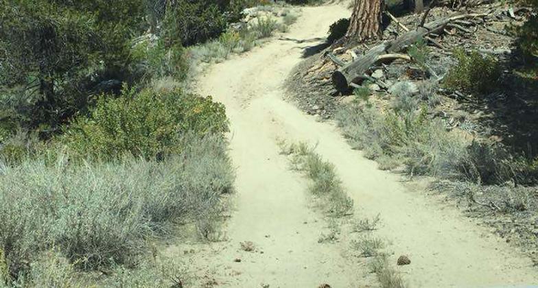 Scenic views. Photo by Troy Meadows, Sequoia NF.