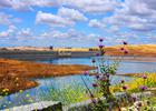 Friant Dam as seen from the Lost Lake Trail. Photo by Rennett Stowe wiki.