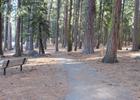 Trail and picnic area at Pinecrest Lake. Photo by Laurie Cashman.