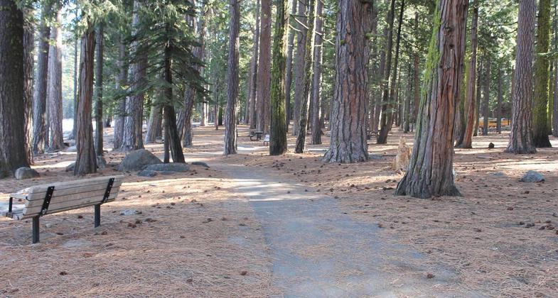 Trail and picnic area at Pinecrest Lake. Photo by Laurie Cashman.