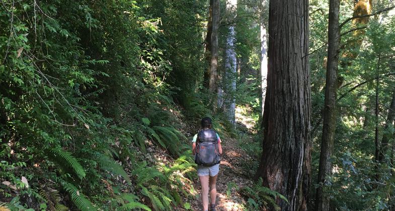 South Fork Smith River, South Kelsey Trail. Photo by Jason Hoorn.
