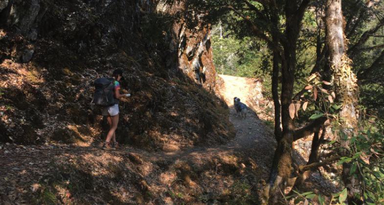 Photo by Jason Hoorn.