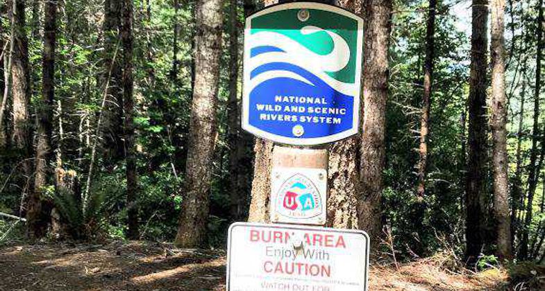 South Kelsey No 4E06 trail marker. Photo by Rob DiPerna.