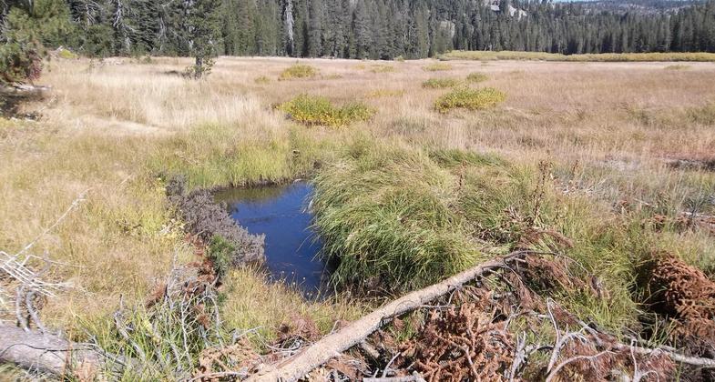 In memory of my friend Debbie who hiked every weekend!. Photo by Debbie Kotera.