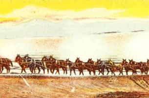 Twenty Mule Team Trail