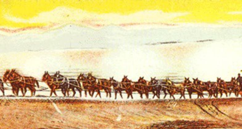Twenty Mule Team. Photo by NPS.