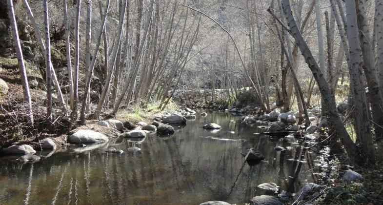 West Fork" Cogswell Dam. Photo by Jordan Glenn.