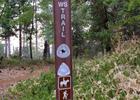 Trail marker.