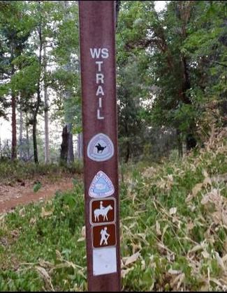Trail marker.