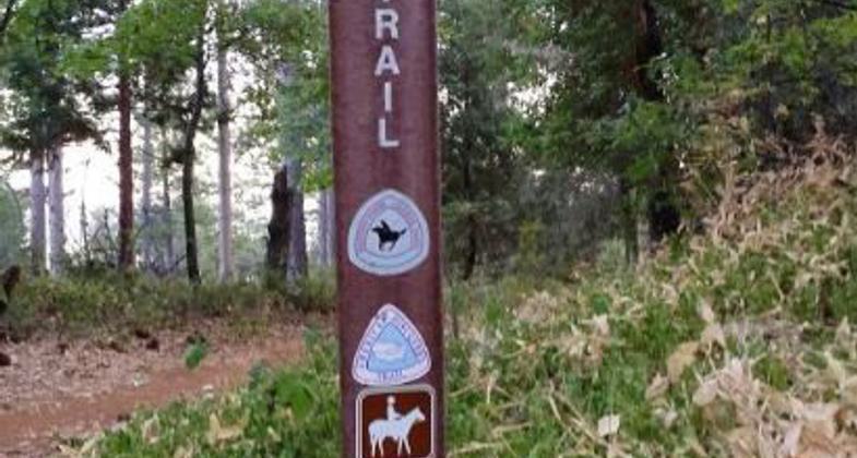 Trail marker.