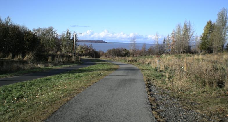 Kincaid Park near Anchorage Airport. Photo by John Terrill.