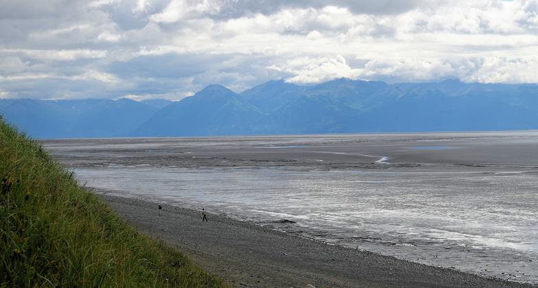 Tony Knowles Coastal Trail - southern end near Kincaid Park - 8-8-18. Photo by Jim Walla.