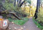 New NRT signs on the trail!. Photo by Larry Smith.