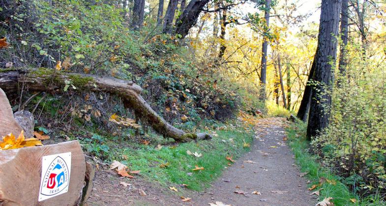 New NRT signs on the trail!. Photo by Larry Smith.