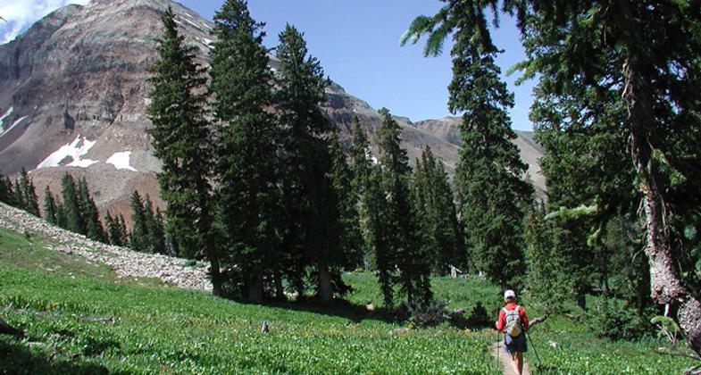San Juan National Forest. Photo by USFS.