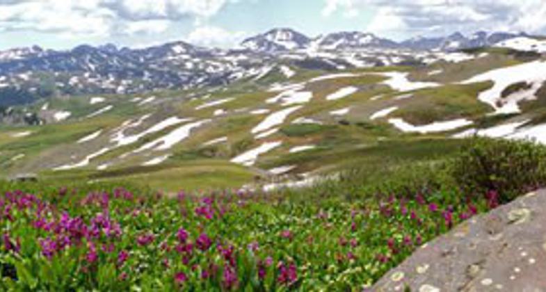San Juan National Forest. Photo by USFS.