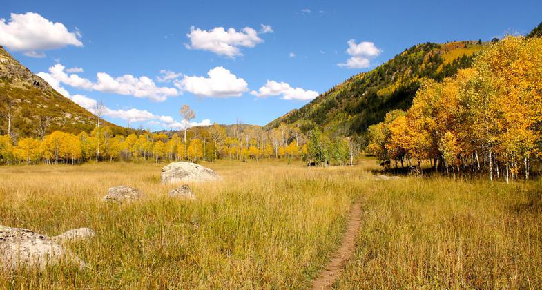 Pedaling old school singletrack near Steamboat Springs. Photo by Singletracks.com/Greg Heil.