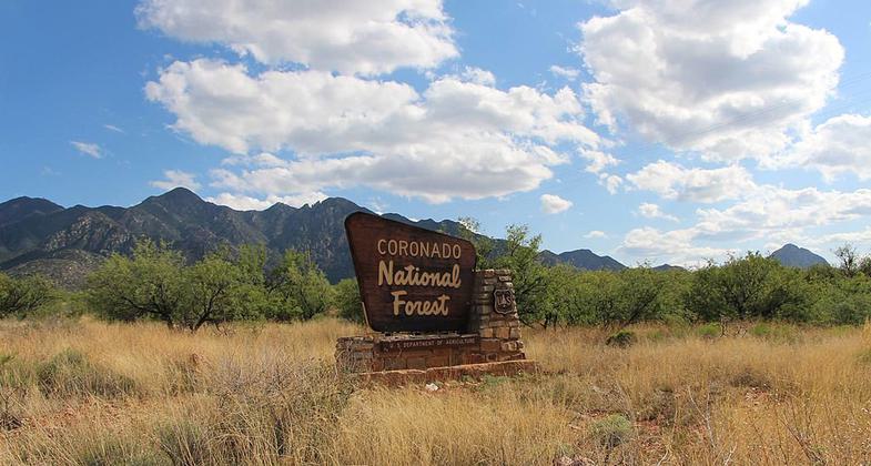 Coronado National Forest. Photo by USFS.