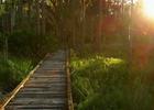 Trail to Arbuckle Lake. Photo by Jason Hollinger wiki.