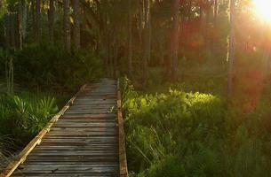 Lake Arbuckle Hiking Trail