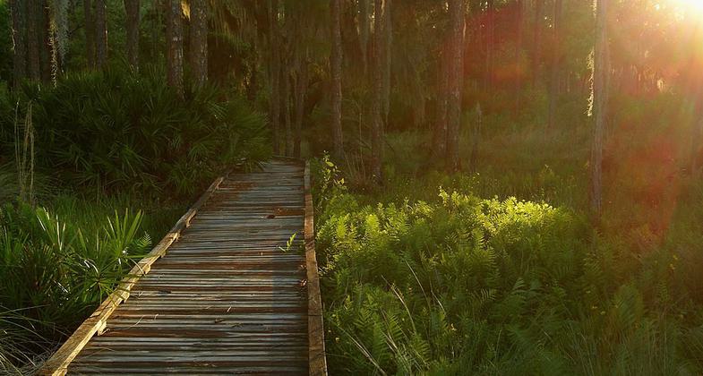 Trail to Arbuckle Lake. Photo by Jason Hollinger wiki.