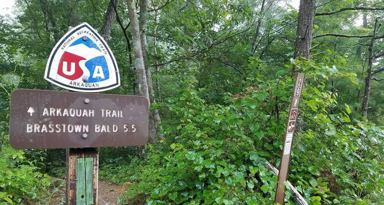 July 2017 hike to the highest point in Georgia (USA), Brasstown Bald Mountain. Photo by Kelly Carter.