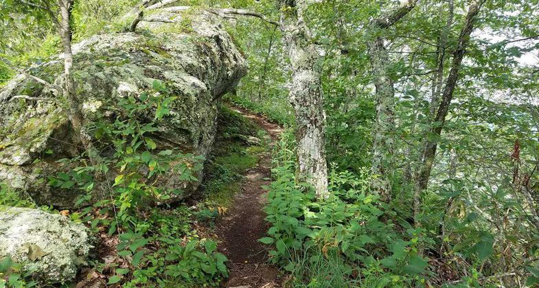 July 2017 hike to the highest point in Georgia (USA), Brasstown Bald Mountain. Photo by Kelly Carter.