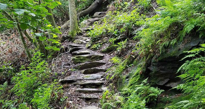 July 2017 hike to the highest point in Georgia (USA), Brasstown Bald Mountain. Photo by Kelly Carter.
