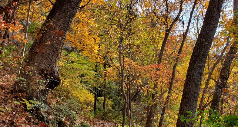 Looking west towards Lookout Valley. Photo by NPS.