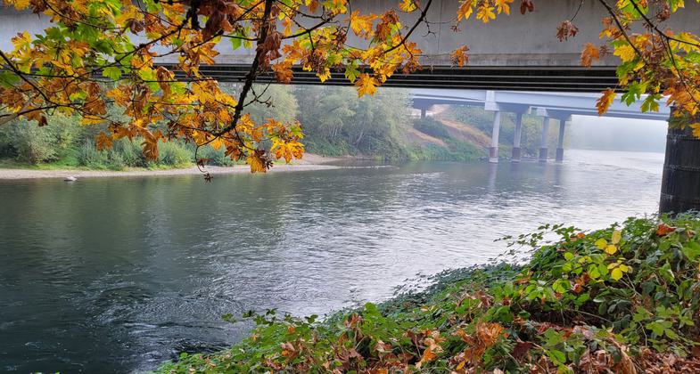Fall along the McKenzie River (a tributary of the WRWT) at Armitage Park; Eugene, Oregon