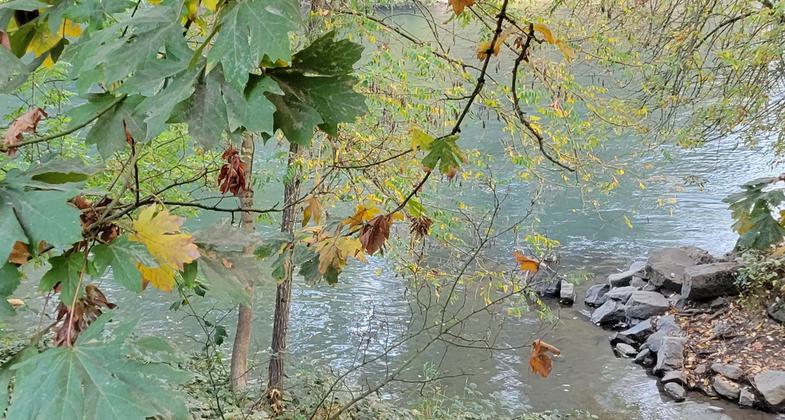 Paddling along the Willamette River Water Trail.