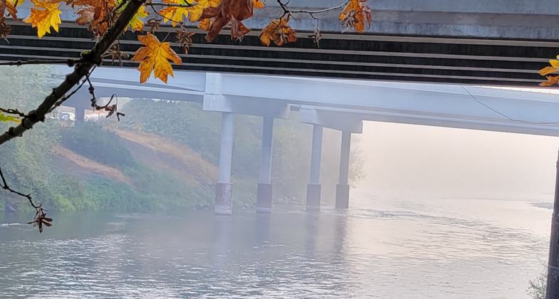 Coburg Railroad Bridge, Armitage Park; Eugene, Oregon