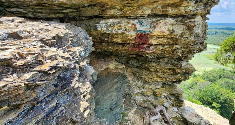 View from the bluffs. Photo by USFS.
