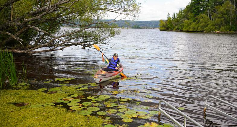 Woodstock Bay Celebration 2024