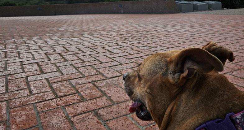 View of Mexico from the Bayside Trail. Photo by Craig Bellavance.