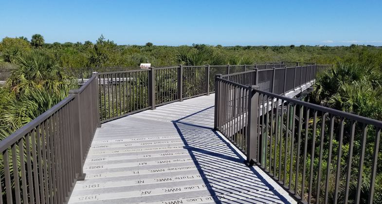 Photo by Craig Bellavance