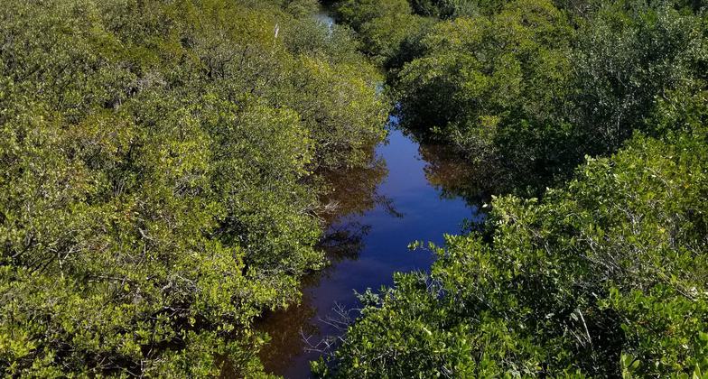 Photo by Craig Bellavance