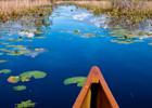 Morning paddle. Photo by Debbie Biddle.