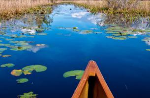 Okefenokee Wilderness Canoe Trail System