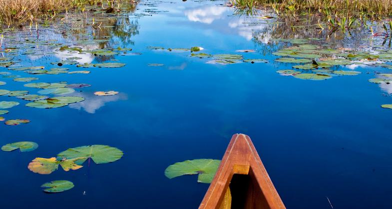 Morning paddle. Photo by Debbie Biddle.