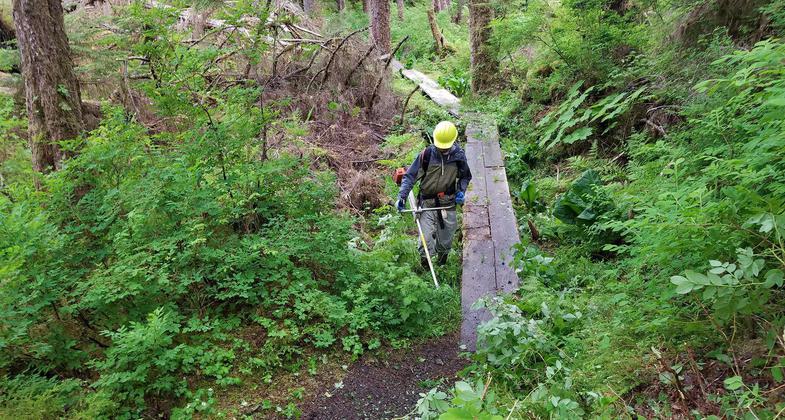 An all-hands field day to perform maintenance on a section of the Naha River Trail. Photo by USFS.