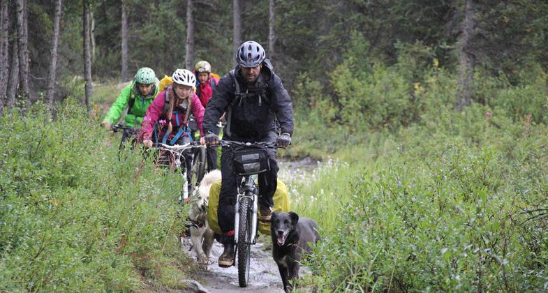 Family bike packing. Photo by Irene Lindquist.