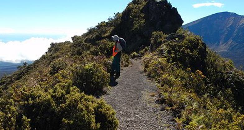 Halemau'u Trail at "Rainbow Bridge" on a clear day. To the left of the trail is the Ko'olau Gap; to the right of the trail is th. Photo by NPS, Forest and Kim Starr.