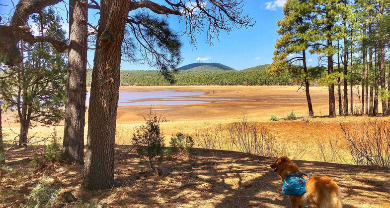 Emme of Apackof2 for the Road on near Lakeside. Photo by Joan Fabiano.