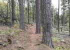 Highline Trail, Payson, Arizona. Photo by davidpinter/wiki.