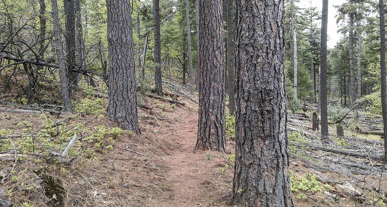 Highline Trail, Payson, Arizona. Photo by davidpinter/wiki.